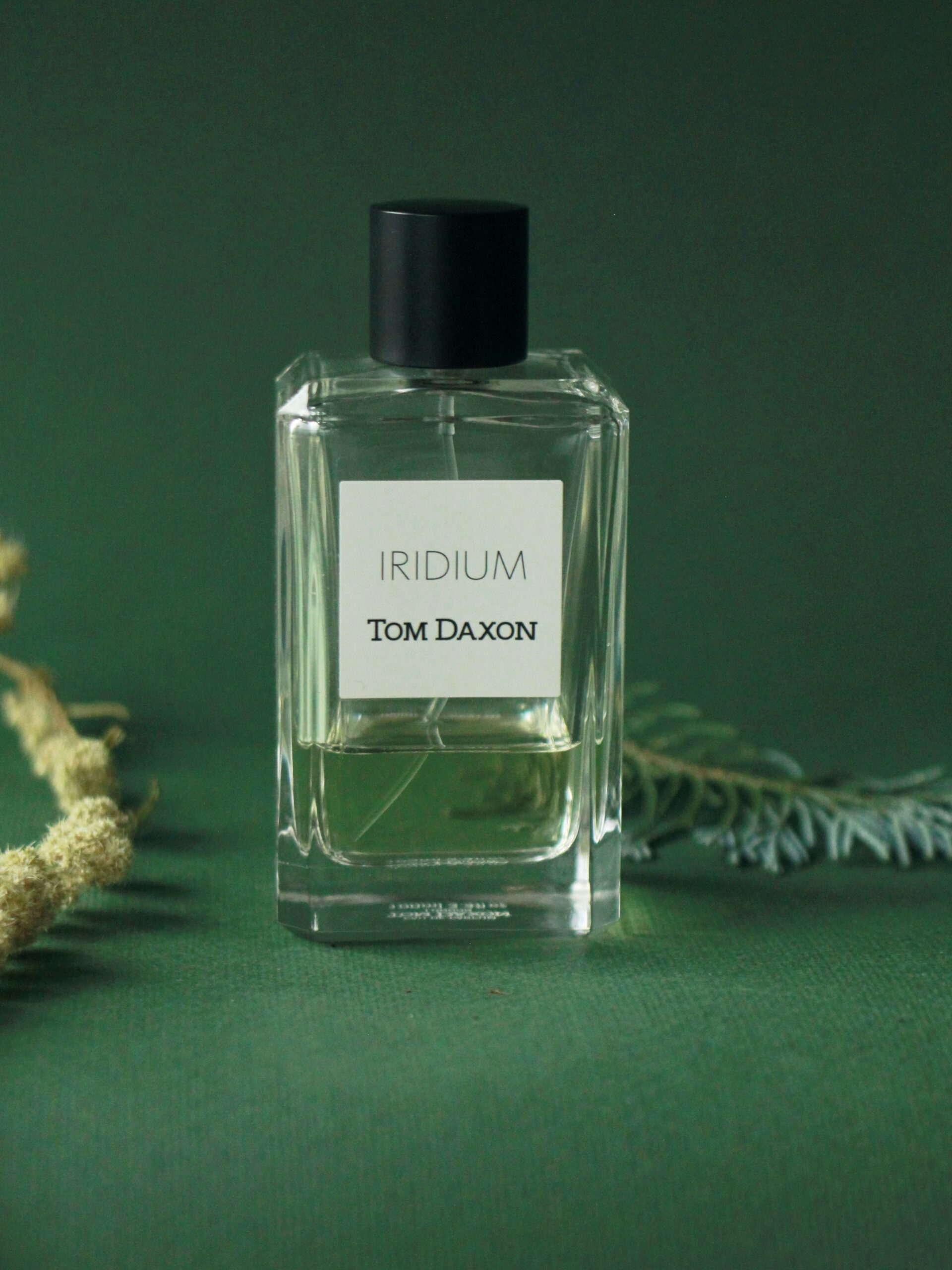 Tom Daxon Iridium